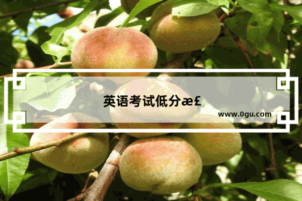 英语考试低分检讨作文
