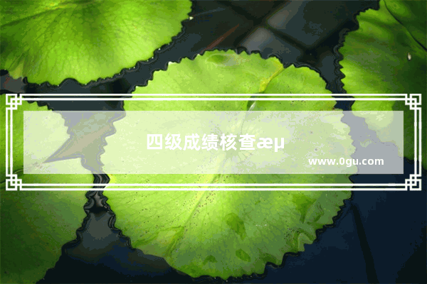 四级成绩核查流程