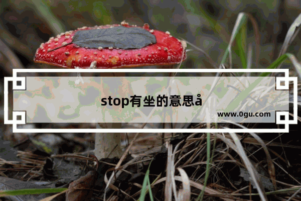 stop有坐的意思吗