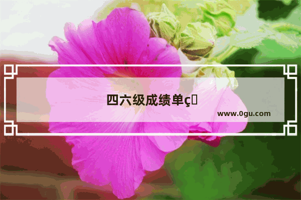 四六级成绩单电子版怎么打印