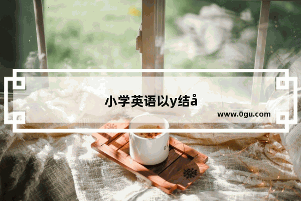 小学英语以y结尾的名词