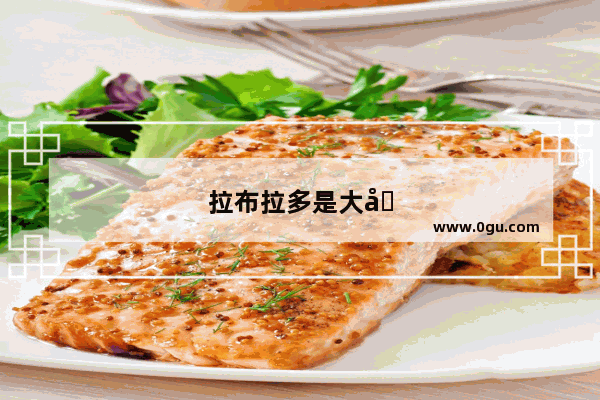 拉布拉多是大型犬还是中型犬？有多大？好不好养