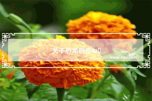关于恐龙的资料