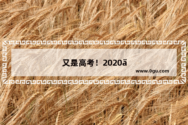 又是高考！2020不同寻常 您有什么高见