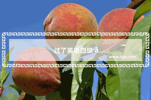 过了英语四级 可以免考英语二吗
