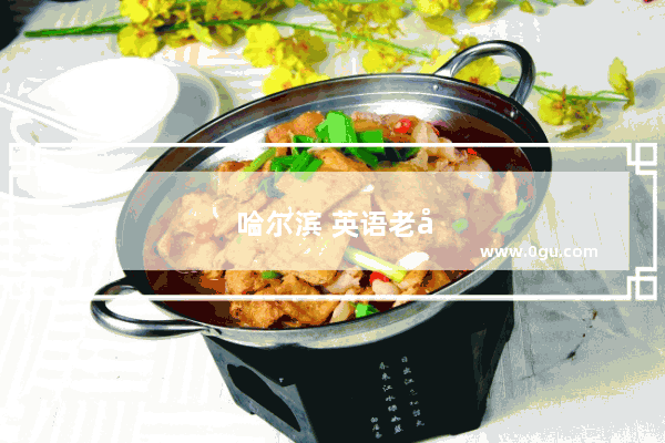 哈尔滨 英语老师 小学招聘