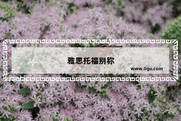 雅思托福别称