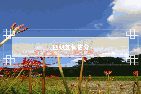 四级如何估分