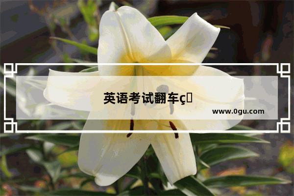 英语考试翻车现场