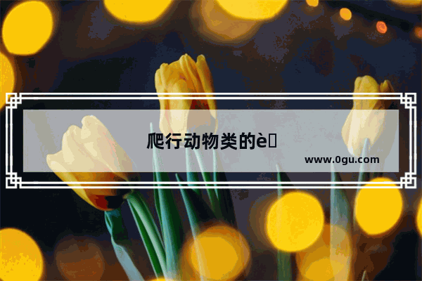 爬行动物类的英语单词