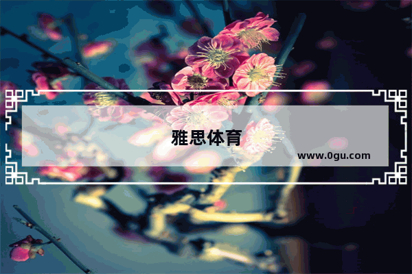 雅思体育