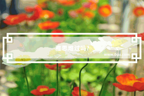 雅思难过吗?