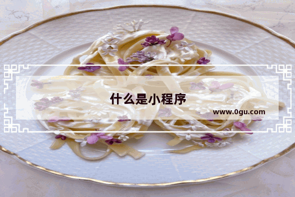 什么是小程序