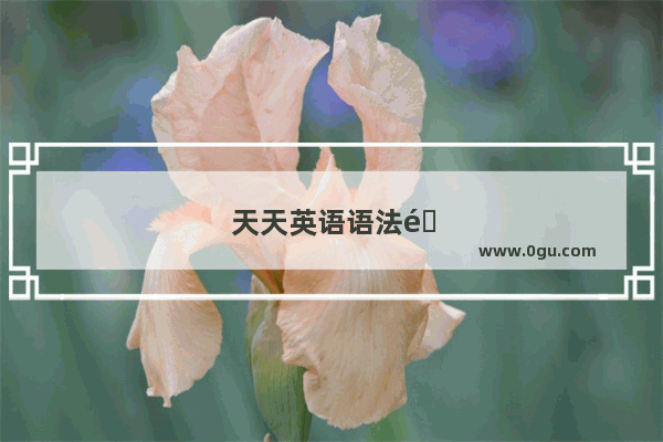 天天英语语法选择