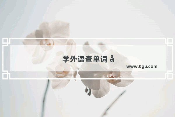 学外语查单词 应该用手机查还是用字典查