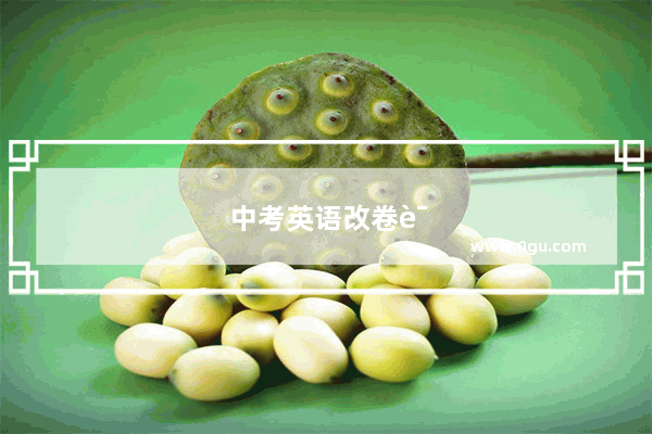中考英语改卷评分要求