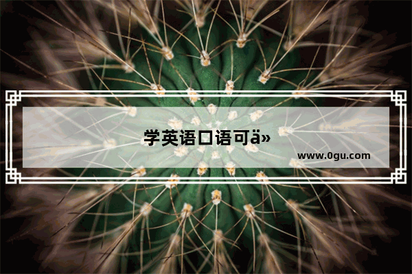 学英语口语可以报什么学校好