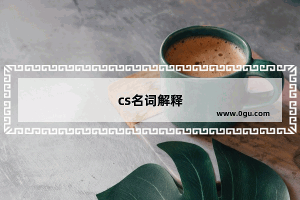 cs名词解释
