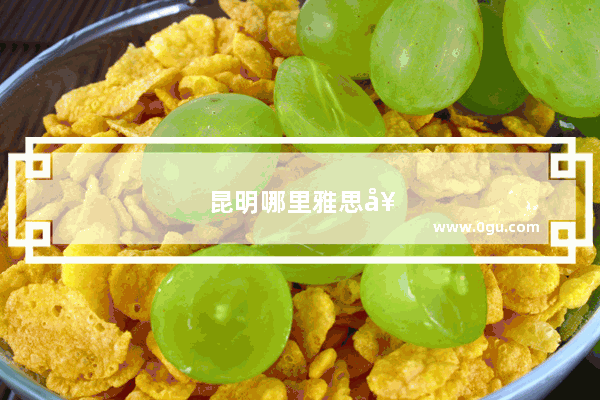 昆明哪里雅思好考