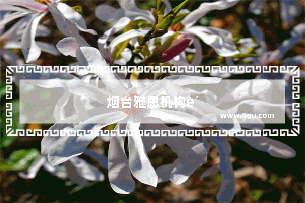 烟台雅思机构费用