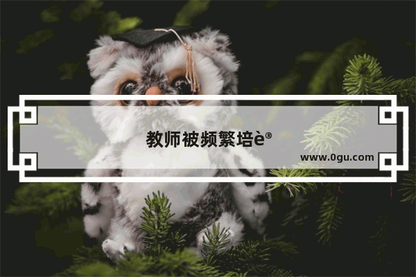 教师被频繁培训 你怎么看