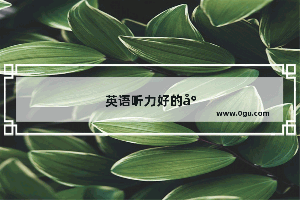 英语听力好的小学生有哪些