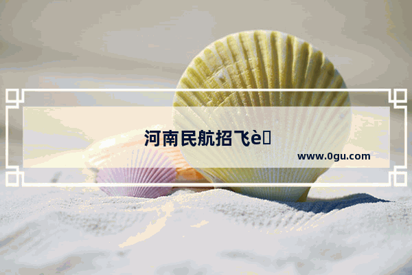 河南民航招飞英语测试有口语吗