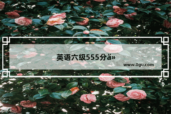 英语六级555分什么水平