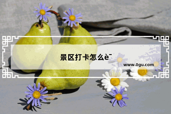 景区打卡怎么说英语口语