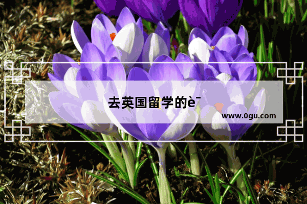 去英国留学的话,是学雅思还是托福