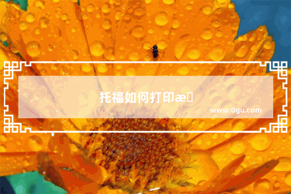 托福如何打印成绩单