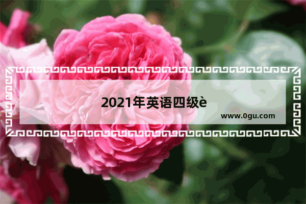 2021年英语四级能查了吗