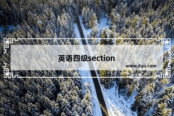 英语四级section b 的做题技巧