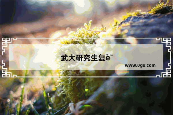 武大研究生复试线出来了吗