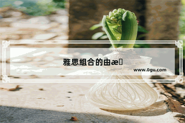 雅思组合的由来