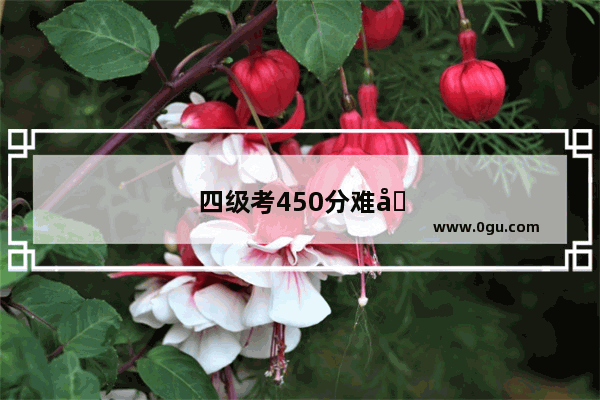 四级考450分难吗
