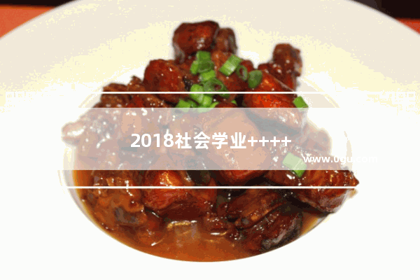 2018社会学业++++