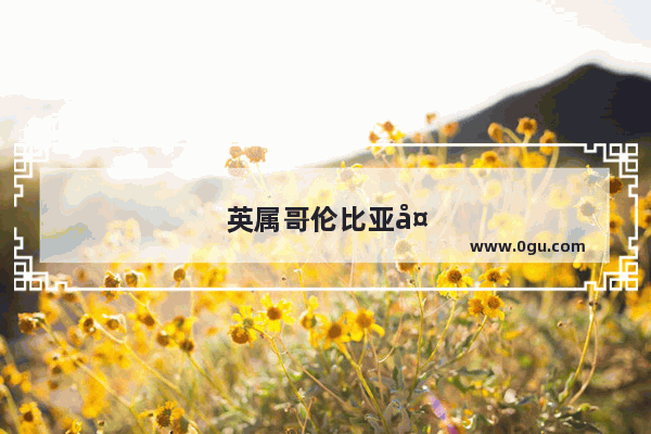 英属哥伦比亚大学的学费是多少啊