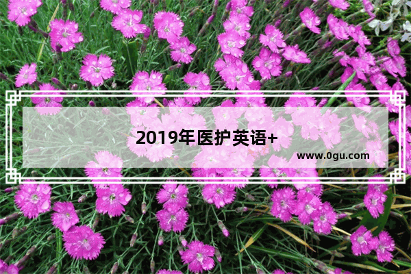 2019年医护英语++++
