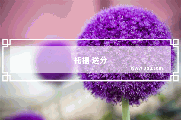 托福 送分