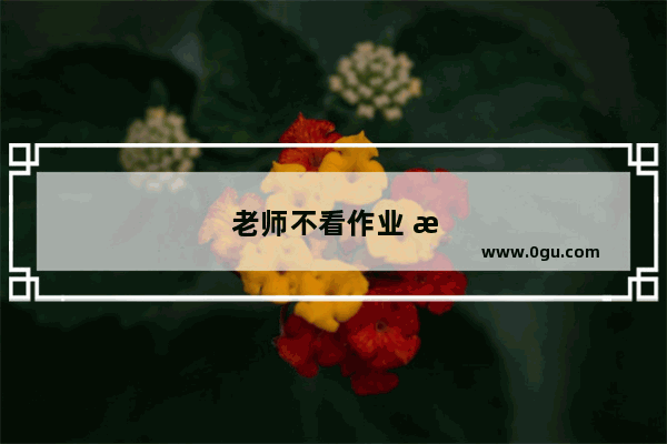 老师不看作业 怎么办