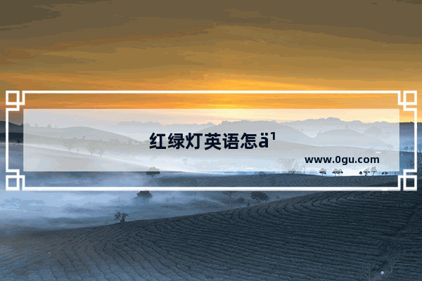 红绿灯英语怎么说