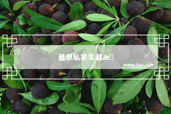 雅思私家车越来越多对环境的影响