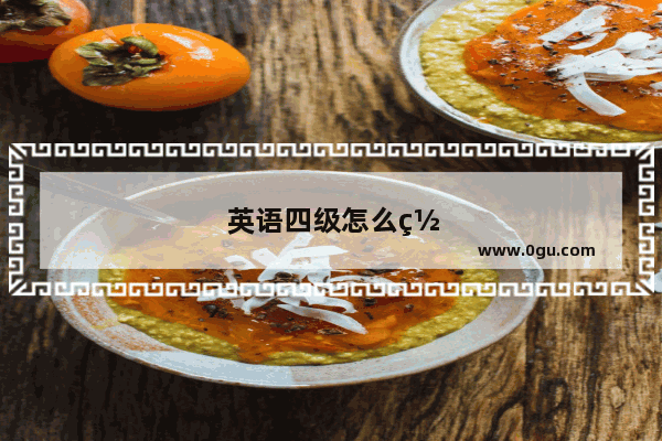 英语四级怎么网上报名