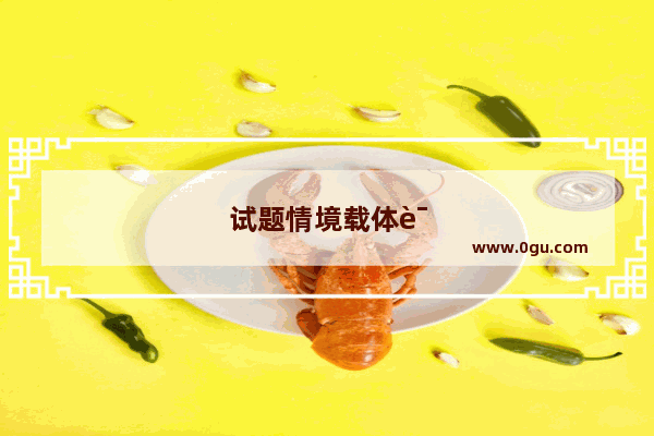 试题情境载体说明怎么写