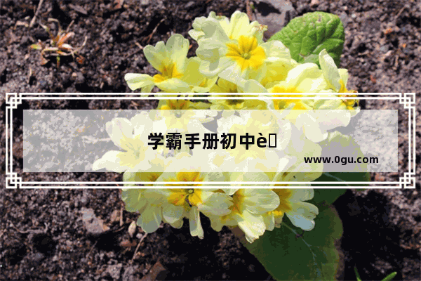学霸手册初中英语电子版