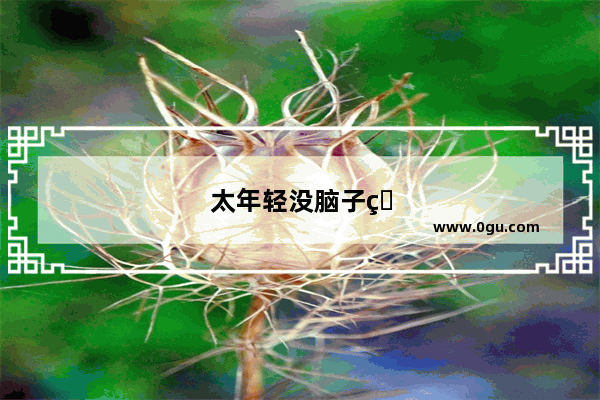太年轻没脑子的英语口语怎么说