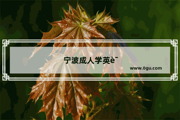 宁波成人学英语口语哪里好