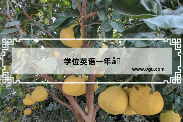 学位英语一年可以考几次
