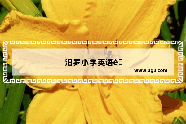 汨罗小学英语老师